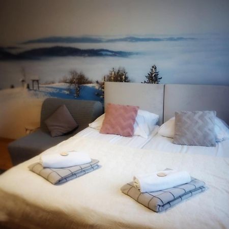 Przy Stoku I Potoku Apartment Wisla Ngoại thất bức ảnh