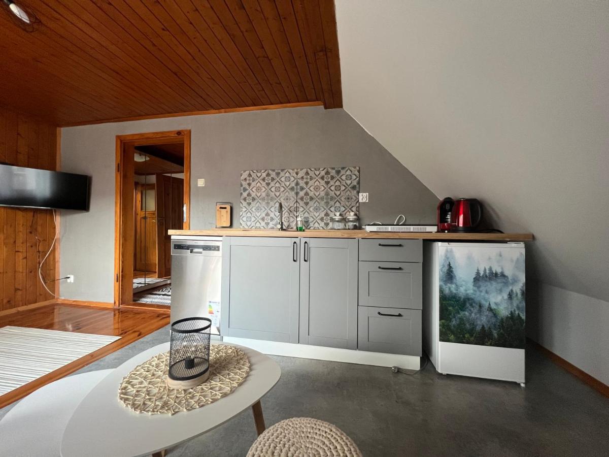 Przy Stoku I Potoku Apartment Wisla Ngoại thất bức ảnh
