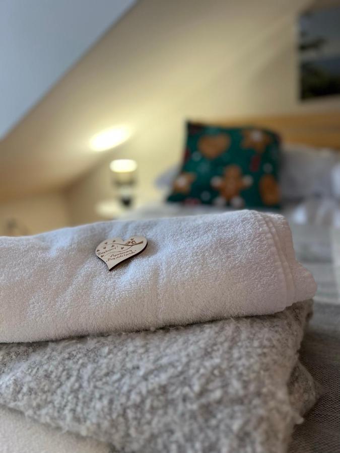 Przy Stoku I Potoku Apartment Wisla Ngoại thất bức ảnh