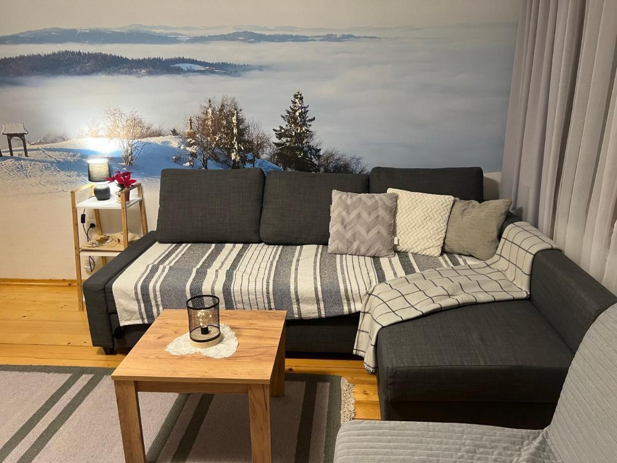 Przy Stoku I Potoku Apartment Wisla Ngoại thất bức ảnh