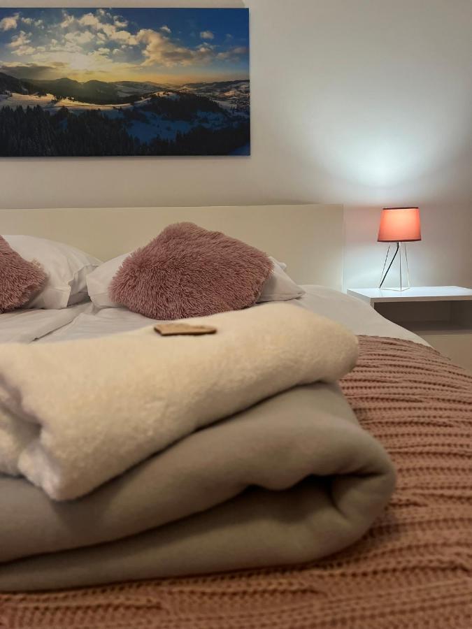 Przy Stoku I Potoku Apartment Wisla Ngoại thất bức ảnh