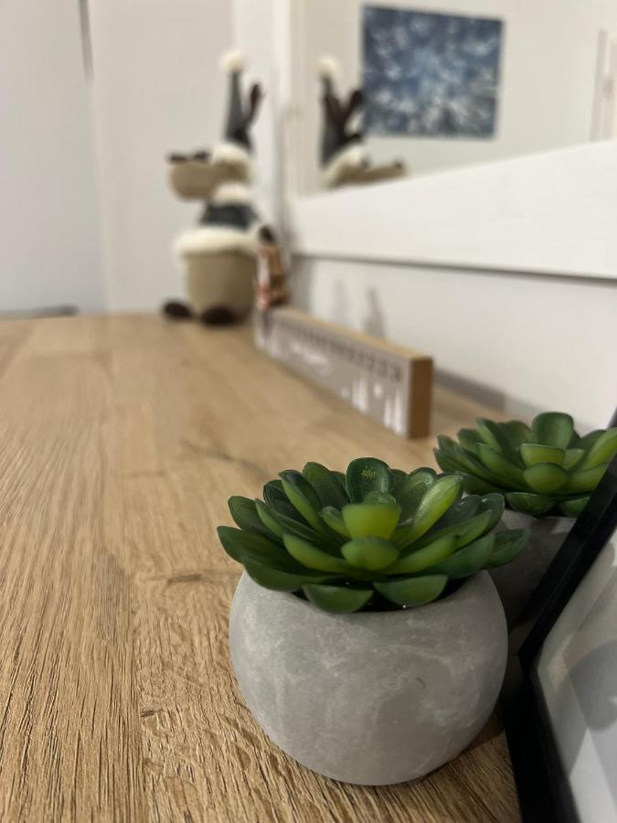 Przy Stoku I Potoku Apartment Wisla Ngoại thất bức ảnh