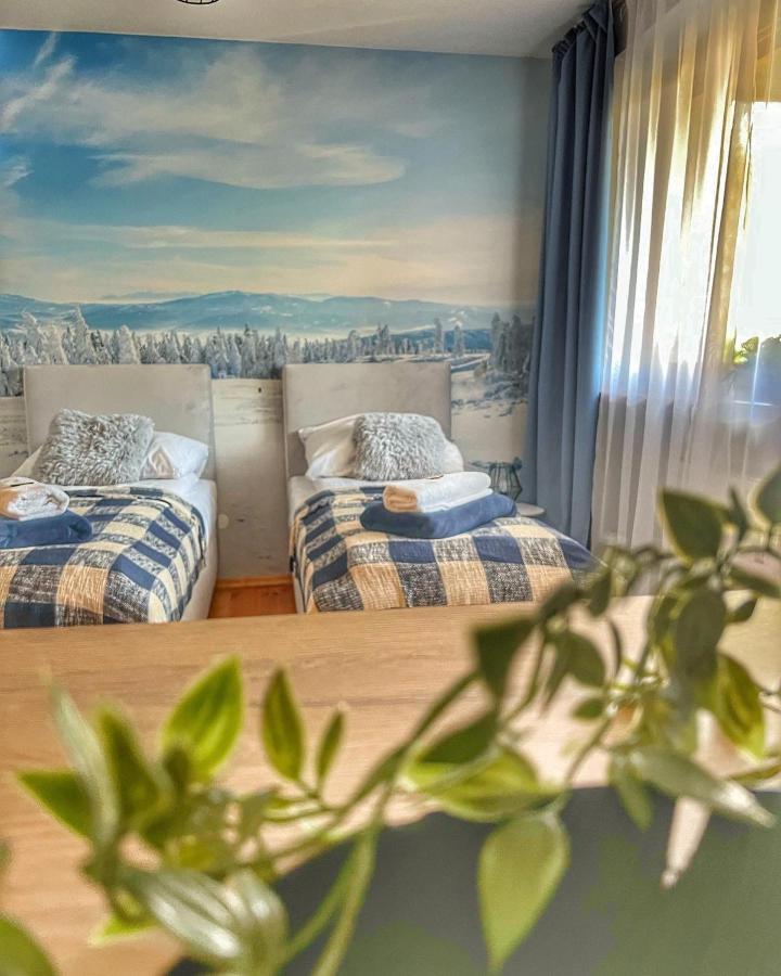 Przy Stoku I Potoku Apartment Wisla Ngoại thất bức ảnh